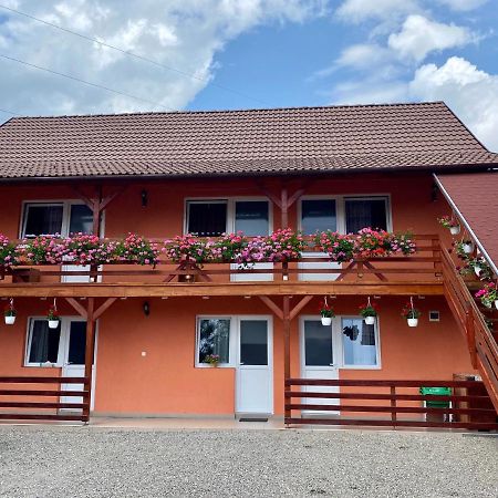Casa Gabriela Hotel Совата Екстериор снимка