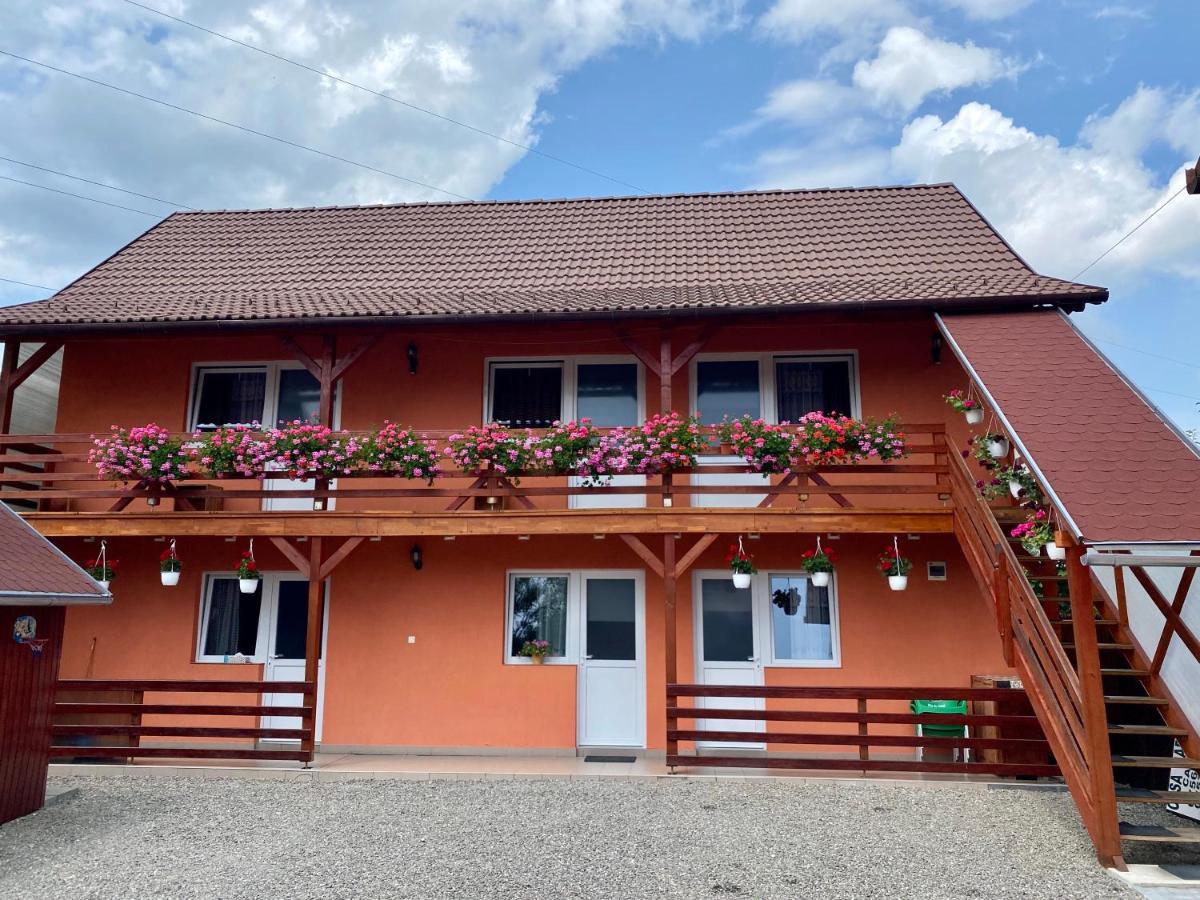Casa Gabriela Hotel Совата Екстериор снимка