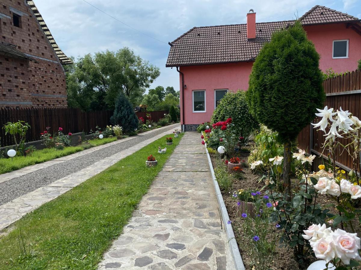 Casa Gabriela Hotel Совата Екстериор снимка